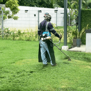 Servicio de Jardinería